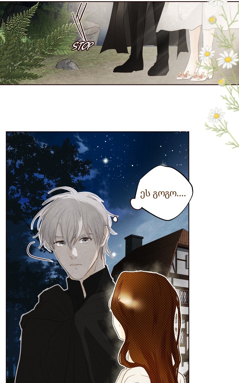 Page (31)